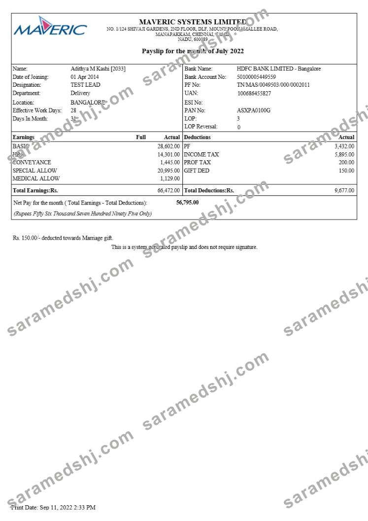 Maveric Systems engineering company payslip template in Word and PDF formats.pdf, 1